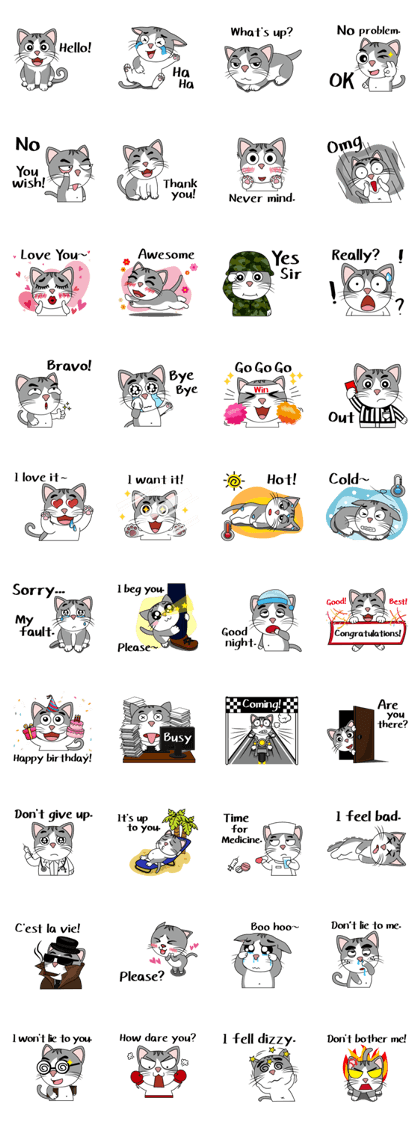 SuperQ Cat