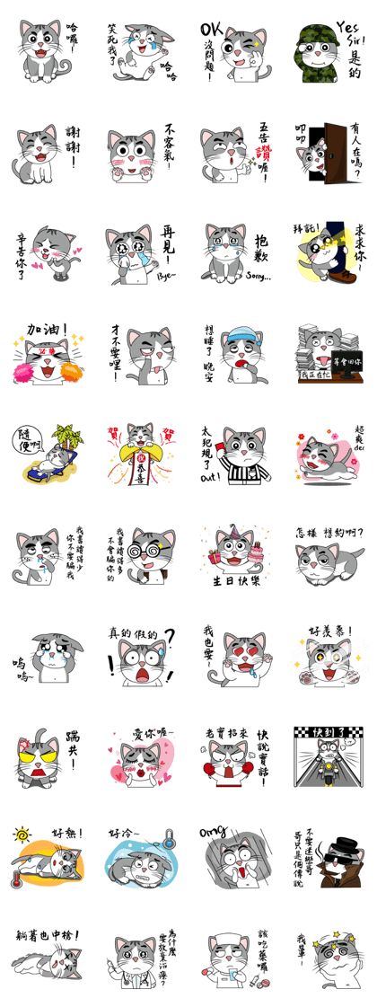 VeryQ cat