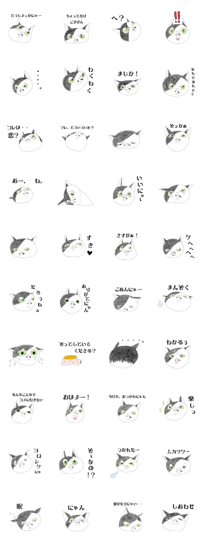 HANA-chan,Cat