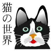 the world of a cat