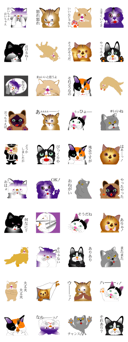 the world of a cat
