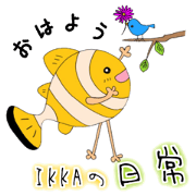 Everyday IKKA