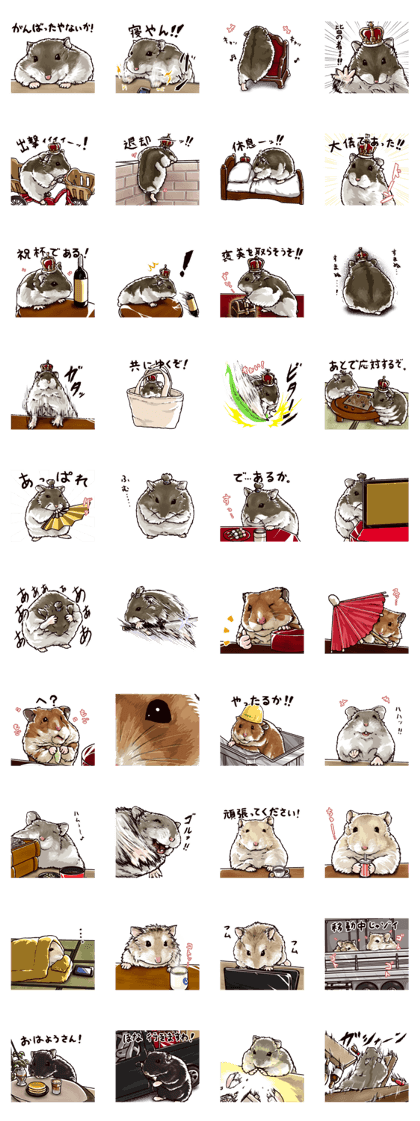 hamster ginji2