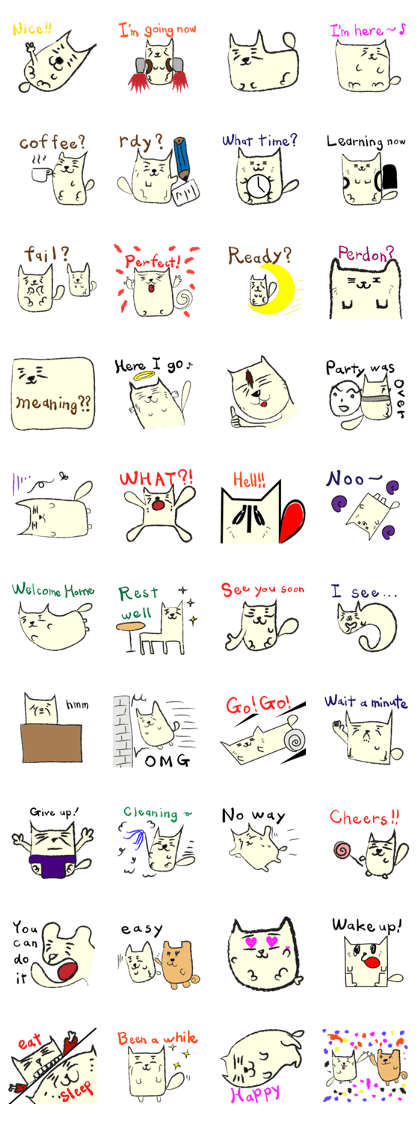 BOXY CAT in English
