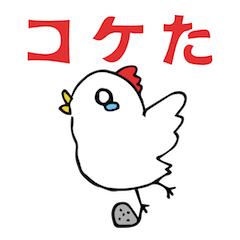a chicken who is so fool from japan.