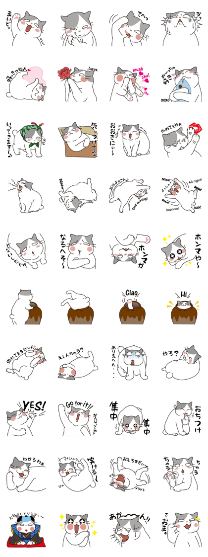 OBAKAWA cat C'eC.3rd OSAKA ver.