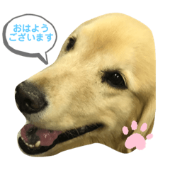 asako_20200623191136