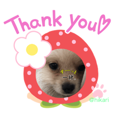 hikari_20200623205048