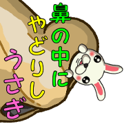 The rabbit at which I lodge in the nose