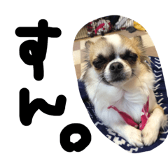 Orange_20200623211949