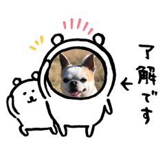 panda_20200623222442