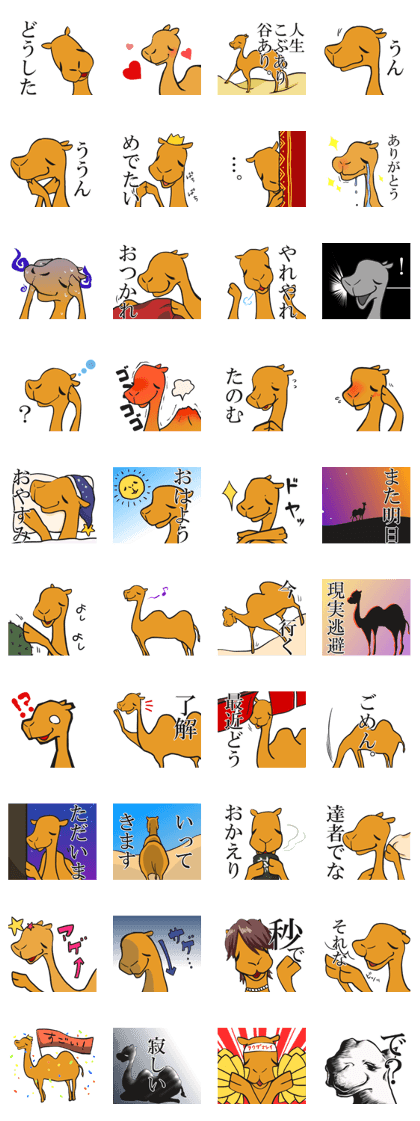Camel Yamanashi