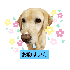 HANA_20200623224050