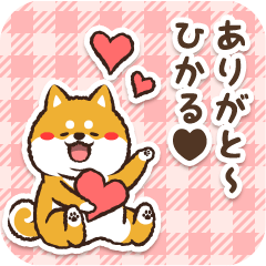 Pocha Shiba Hikaru (Love)