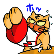 Gymnastics I love cats