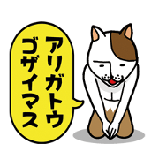 Neko Nekota