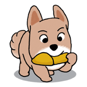 The Messenger Dog