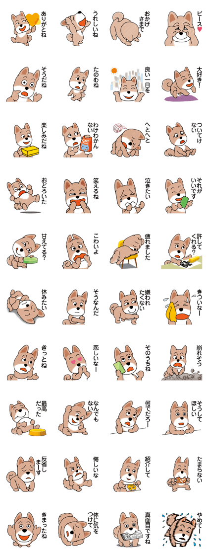 The Messenger Dog