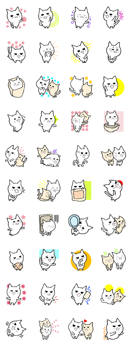 Cat of various expressions