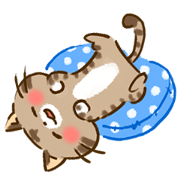 Kurumi of Cat