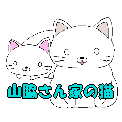 山脇さん家の猫３