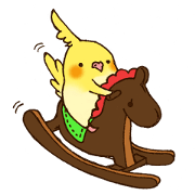 maruoka-san