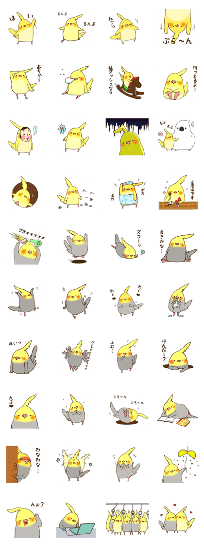 maruoka-san