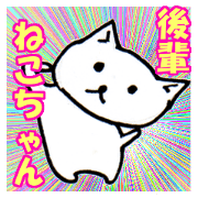little junior cat
