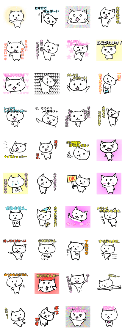 little junior cat