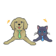 (TW)friendly cat&dog