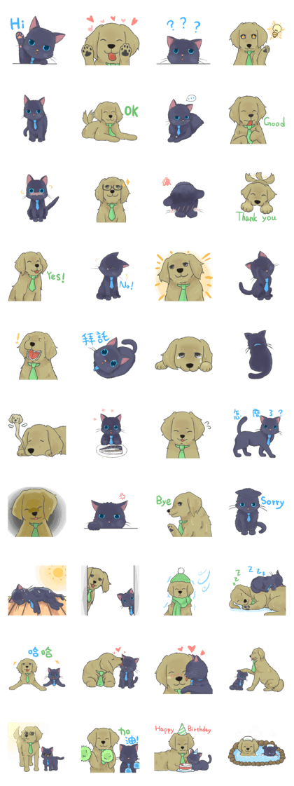(TW)friendly cat&dog