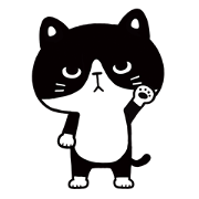 Hachi the Alley cat