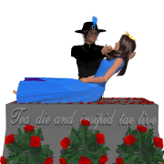 princess and the hero