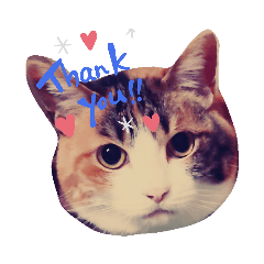 smile_20200623200342