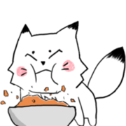 The white fox which isn't a cat