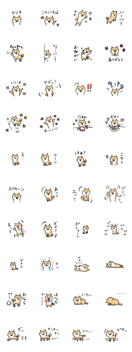 Funny Shiba dog