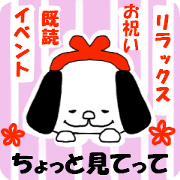 a wallet dog 3
