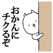 tsukkomi cat