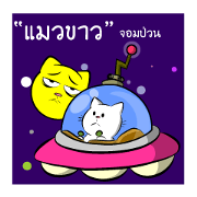 white cat flurry
