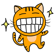 Little Orange cat