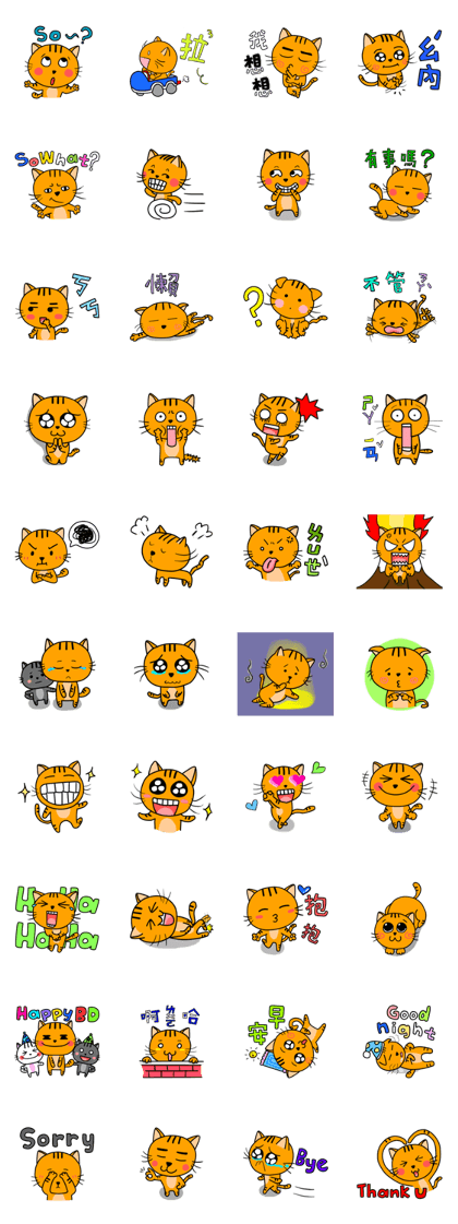 Little Orange cat