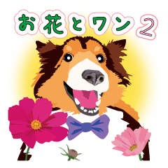 Exciting Sheltie and flower 2