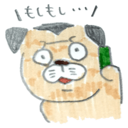 I am a pug!