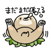 lazy sloth 2