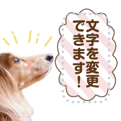 chipo san cute message Sticker