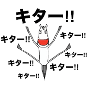 UMASHIRO