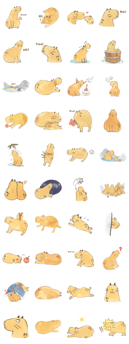 Capybara daily