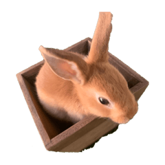 kazuki_20200623205206