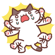 Creator Cats