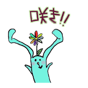 used Live